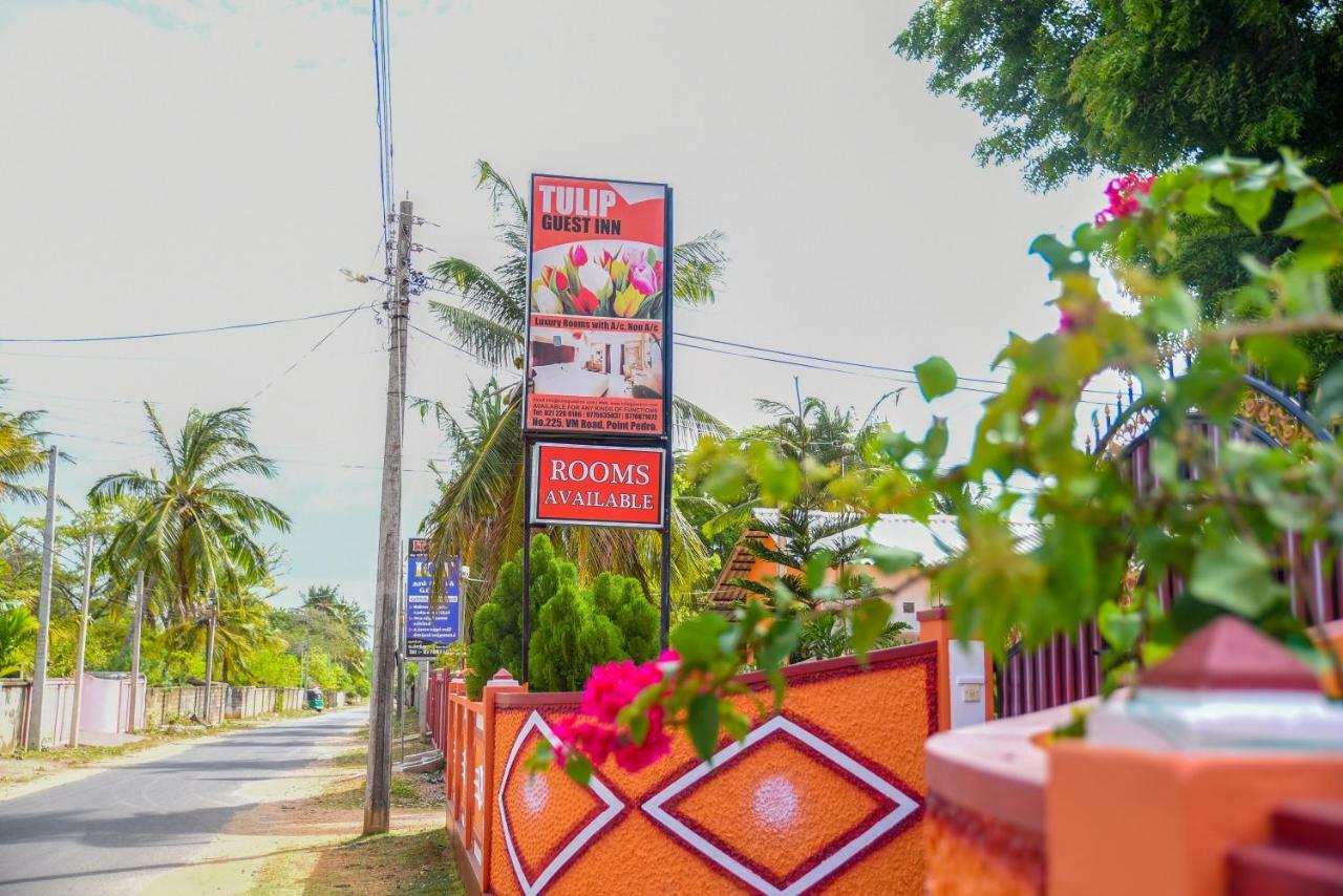 Tulip Guest Inn Point Pedro Екстер'єр фото